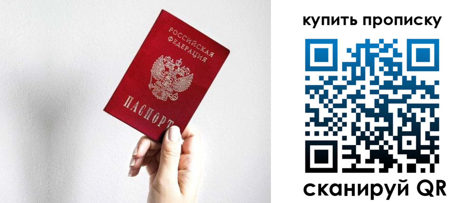 временная регистрация купить в Светлогорске