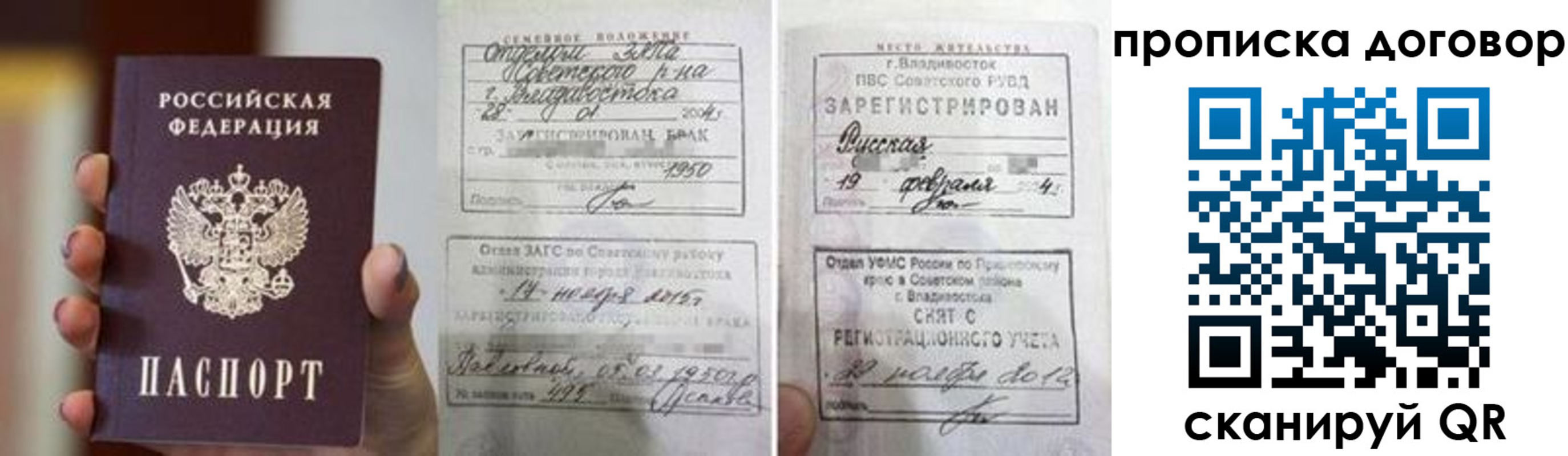 прописка штамп в Светлогорске